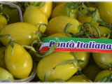 pomodoro ciliegino giallo