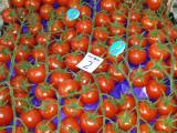 pomodoro ciliegino