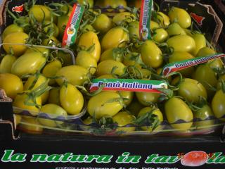 pomodoro ciliegino giallo