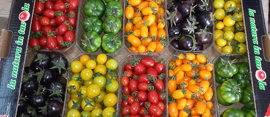 La nostra varietà di pomodori!